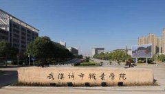 武汉城市职业学院2021年录取分数线（附2017-2021年分数线）