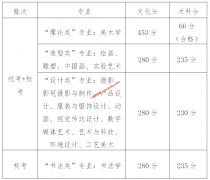 广州美术学院2019年广东文化，专业录取分数线（附录取规则）