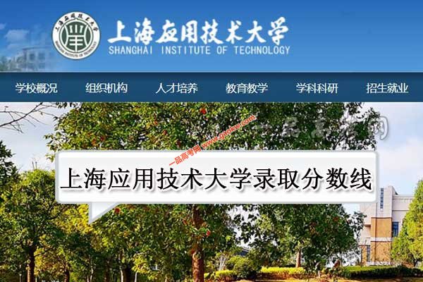 上海应用技术大学录取分数线