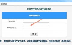 广西2020年艺术类专业统考成绩查询办法