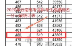 2020年云南高考二本上线考生有多少 文科480以上43805人 理科440
