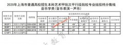 2020年上海本科音乐学类(音乐表演－器乐，声乐)甲批平行段院校专业组投档分数线