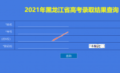 2021年黑龙江省高考录取结果查询