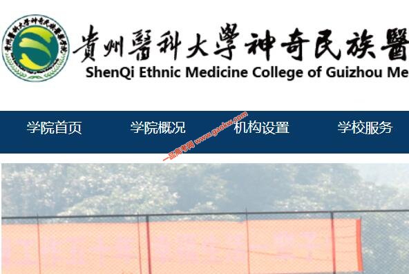 贵州医科大学神奇民族医药学院录取查询