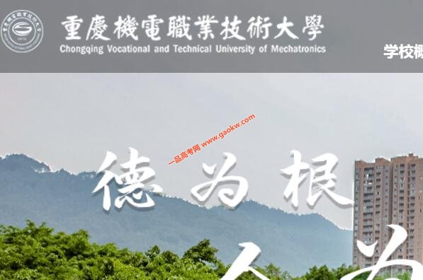 重庆机电职业技术大学录取查询